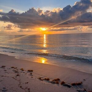 Meet your Posher, Mel